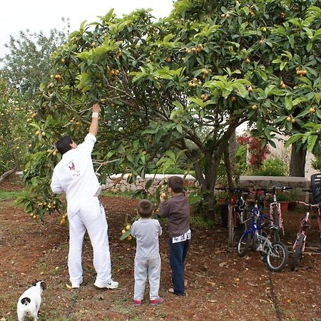 Agroturismo Can Gall Hotel Sant Joan De Labritja Ngoại thất bức ảnh