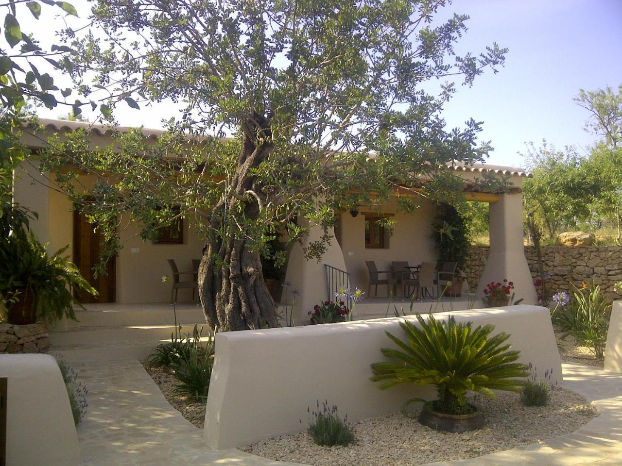 Agroturismo Can Gall Hotel Sant Joan De Labritja Ngoại thất bức ảnh