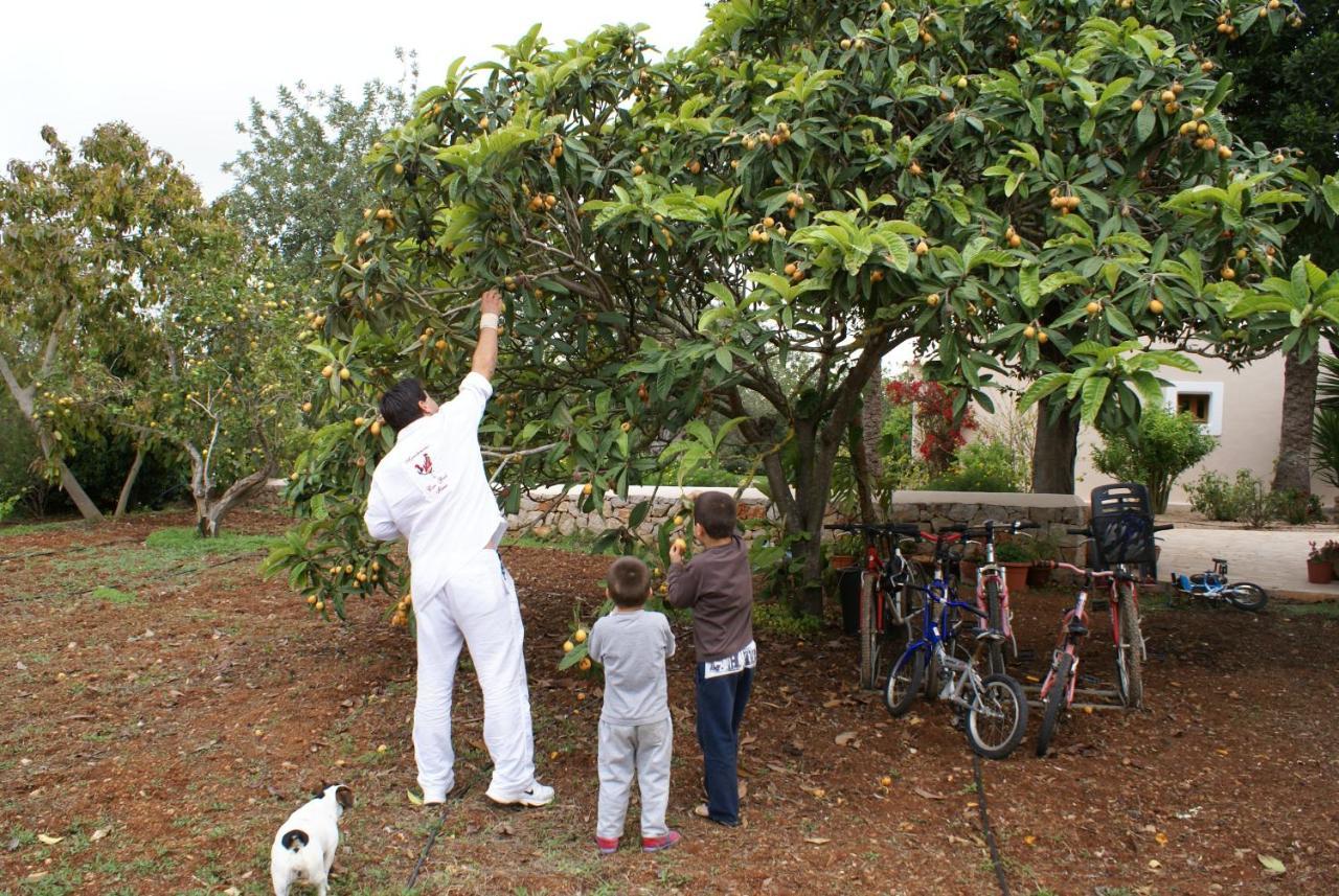 Agroturismo Can Gall Hotel Sant Joan De Labritja Ngoại thất bức ảnh